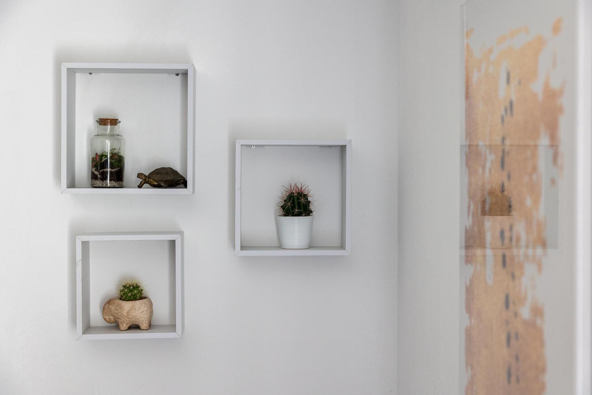 Dubrovnik Domus Apartment エクステリア 写真